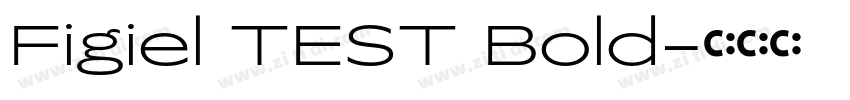 Figiel TEST Bold字体转换
